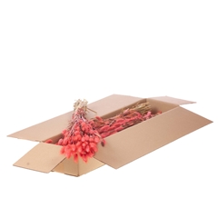 Siergr Ov Klb H% 45cm 80gram