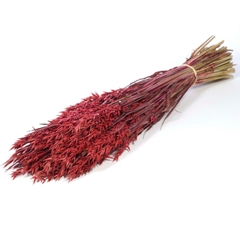 Siergr Ov Klb H% 60cm 190gram