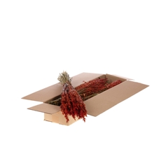 Siergr Ov Klb H% 60cm 190gram
