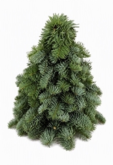 Kerst Art Ov 30cm