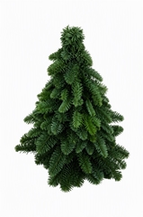 Kerst Art Ov 40cm