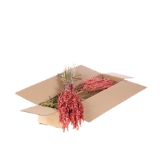 Siergr Ov Klb H% 60cm 190gram
