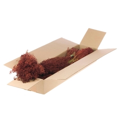 Droogbl Bewerkt H% 40cm 85gram