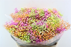 Gyps Colortreated 80cm 40gram