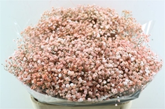 Gyps Colortreated 80cm 40gram