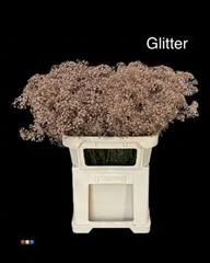 Gyps Million Star Copper + Glit Bio