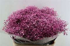 Gyps Colortreated 80cm 40gram