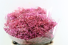 Gyps Colortreated 80cm 40gram