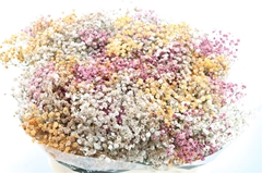Gyps Colortreated 80cm 40gram