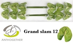 Anth A Grand Slam 13cm Ø