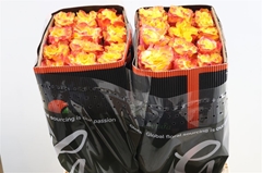 R Gr Suns X-pression 50cm