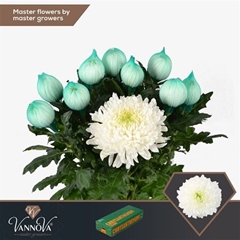 Chr G Magnum 70cm 105gram