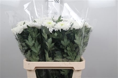 Chr G Lednik 80cm 80gram