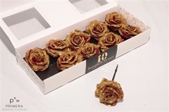 Gewaxde Rs Op St 21%