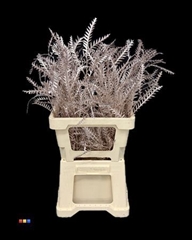 Decorgr Klb Pb 21% 60cm