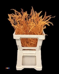 Decorgr Klb Pb 21% 60cm