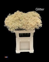 Gyps Colortreated 80cm
