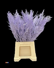 Snijbloemen Klb H% 55cm