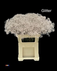 Gyps Colortreated 80cm