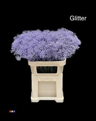 Gyps Colortreated 80cm
