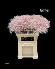 Gyps Colortreated 80cm