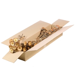 Dried Flowers 100 Gram 30cm