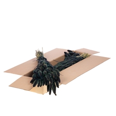 Siergr Ov Klb H% 60cm 140gram