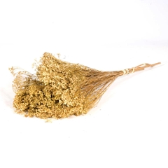 Droogmaterialen