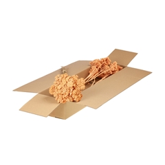 Droogbl Bewerkt H% 50cm 85gram