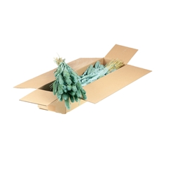 Siergr Ov Klb H% 60cm 140gram