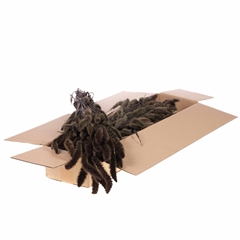 Siergr Ov Klb H% 60cm 140gram