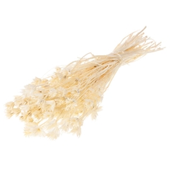 Droogbl Bewerkt H% 40cm 65gram