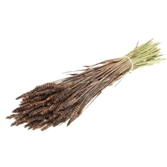 Siergr Ov Klb H% 55cm 240gram