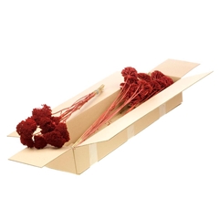 Droogbl Bewerkt H% 50cm 60gram
