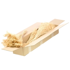 Droogbl Bewerkt H% 40cm 75gram