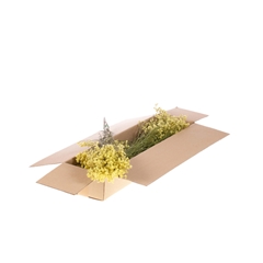 Dried Flowers 100 Gram 60cm