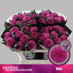 Chr G Roxo 70cm 85gram