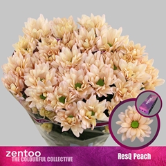 Chr T Resq Peach 70cm 100gram