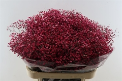 Gyps Colortreated 80cm 40gram