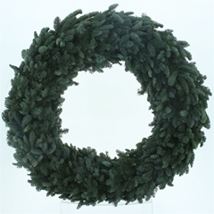 Nobilis-krans 21%
