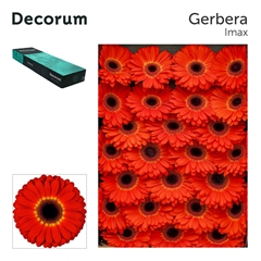 Ge Gr Imax 45cm 10cm Ø