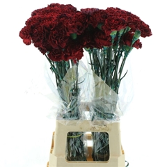 Di St Ov Klb 21% 70cm 24