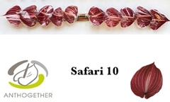 Anth A Safari 9cm Ø