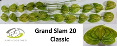 Anth A Grand Slam 9cm Ø