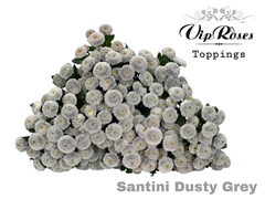 Chr S Dusty Grey