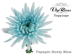 Chr G Topspin Dusty Blue