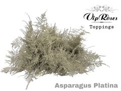 Asp Ov Extra Veren Platina