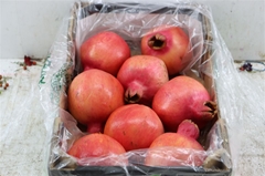 Sier Punica Granatum 8gram