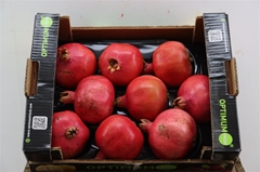 Sier Punica Granatum 50gram