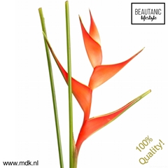 Helic Tropical 70cm